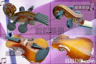 創毅樂器 您的樂器批發與零售首選