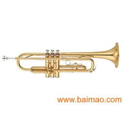 專業樂器供應 批發零售全新原裝正品雅馬哈、卡西歐、美德理、羅蘭電子琴