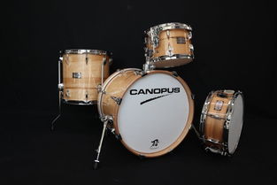 日本打擊樂器代購指南 價(jià)格、二手市場與購買渠道全解析